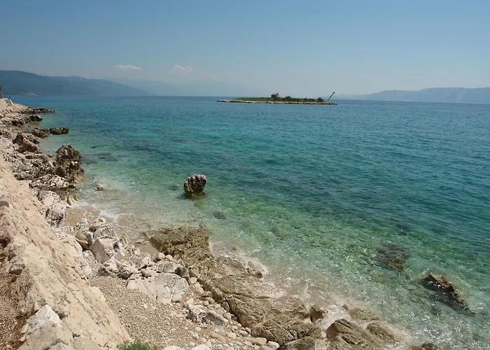 Panor 노비비노돌스키